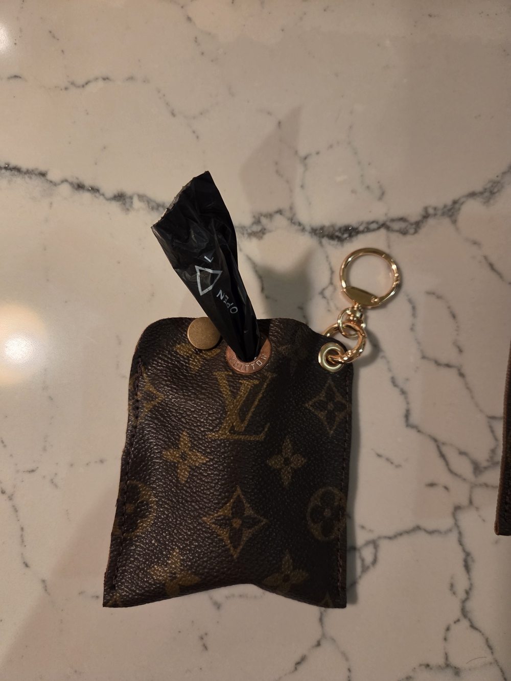 Lv Dog Bag Poop Holder Keychain